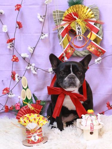 20230117スミレちゃん